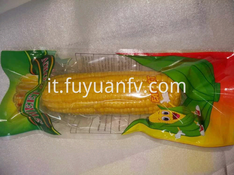 one piece fresh corn